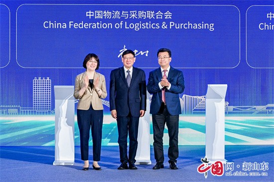 Kaiyun中国：2024物流标准化国际大会暨ISOTC344成立大会在青岛自贸片区成功举办(图3)