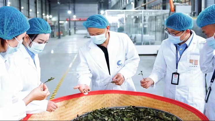 开云网站：贵州省扎实开展小微企业质量管理体系认证提升行动(图1)
