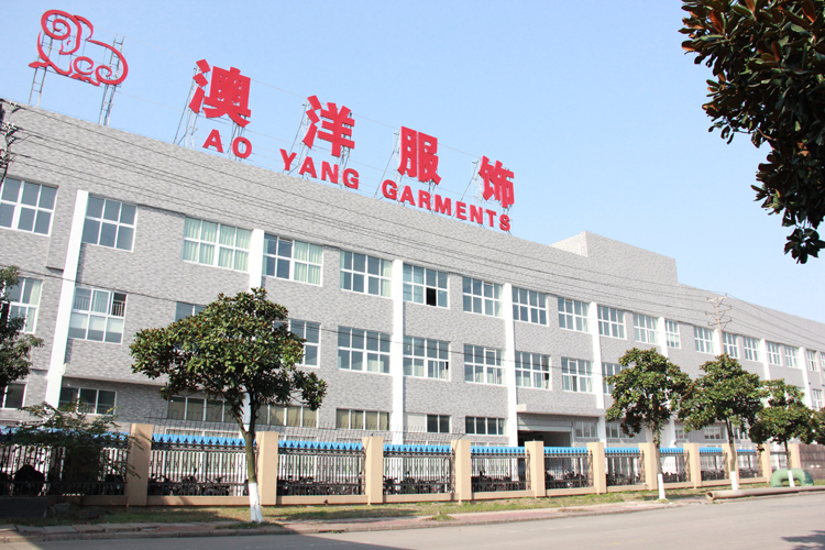 开云网站：澳洋服饰蝉联2024中国服装领军品牌等多项殊荣(图2)