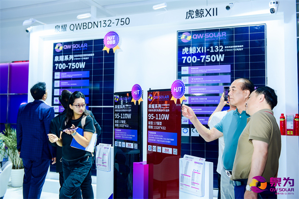 开云网站：泉为科技：海上光伏技术闪耀SNECTUV南德颁发认证证书(图4)