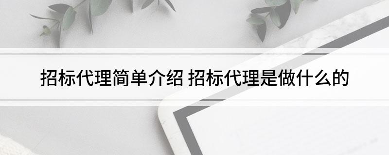 Kaiyun中国：招标代理简单介绍招标代理是做什么的(图1)