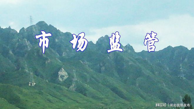 开云网站：我省进一步加强工程建设项目招标代理机构监管(图1)