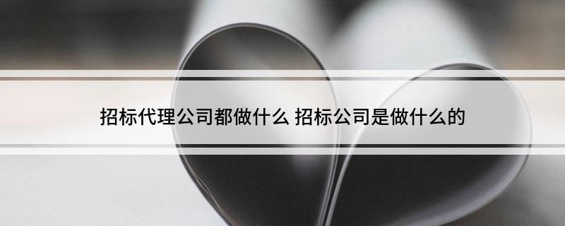 Kaiyun中国：招标代理公司都做什么招标公司是做什么的(图1)