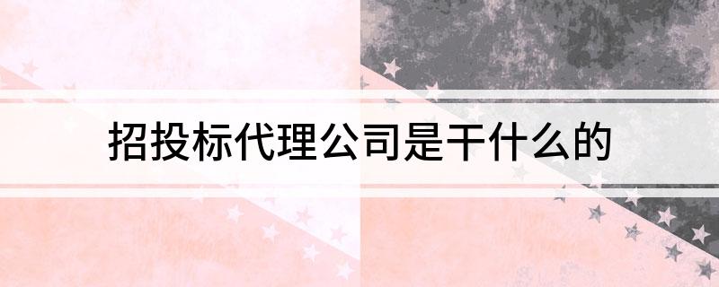 开云网站：招投标代理公司是干什么的(图1)