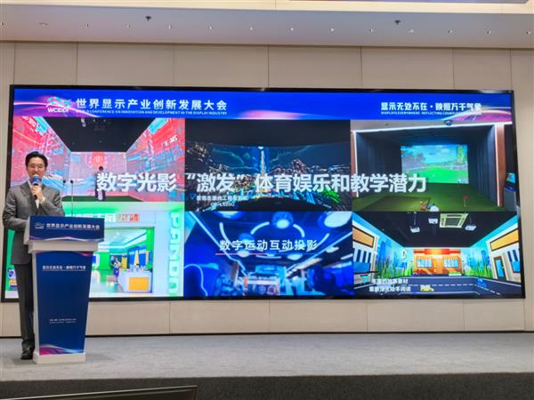 Kaiyun中国：用数字科技赋能文旅创新爱普生参加2024世界显示产业创新发展大会(图4)