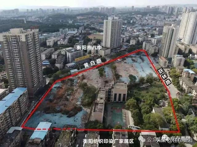 Kaiyun中国：4382亩！纯新盘“惟楚有才”即将入市(图2)
