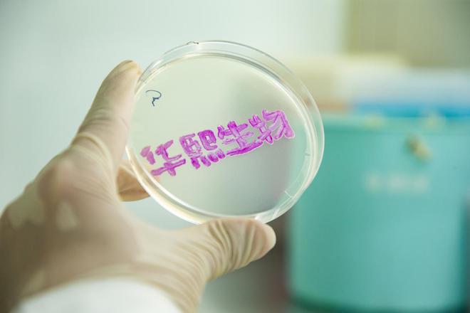 Kaiyun中国：华熙生物：短期波动下的长期价值锚点(图3)