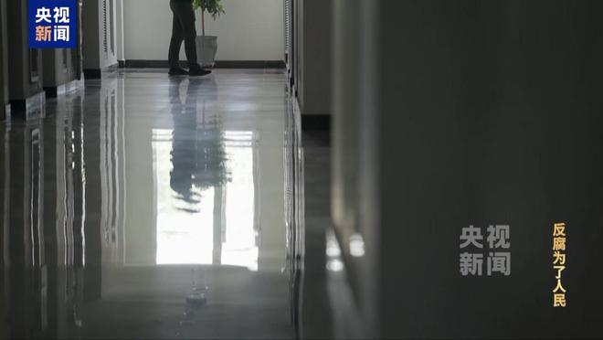 Kaiyun中国：限时40分钟速来围串标！专家发“今天阳光明媚”竟是欢迎围猎暗号(图16)