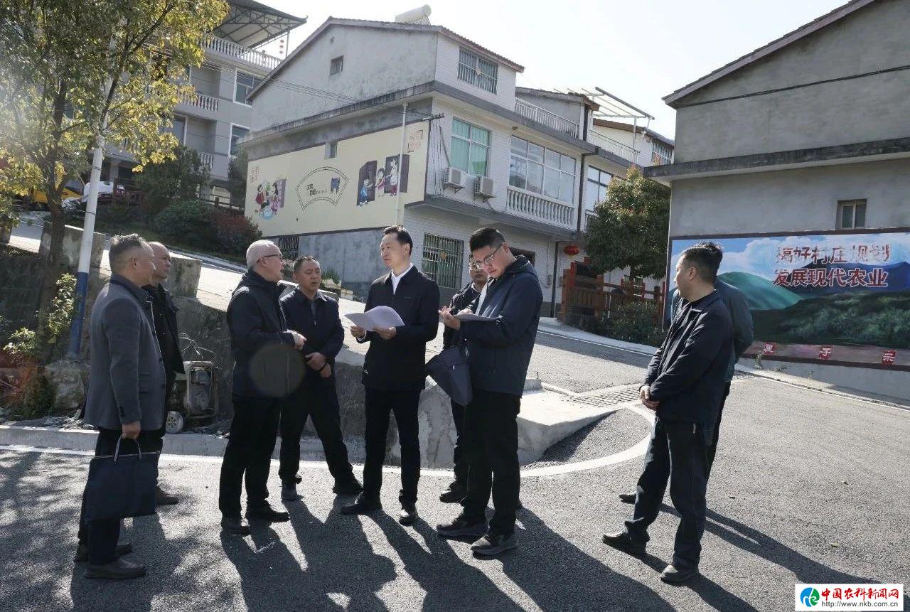 开云网站：陕西岚皋：助推县域招投标市场健康发展、项目建设提质增效(图2)