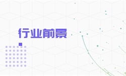 开云网站：工程招标代理行业市场分析(图3)