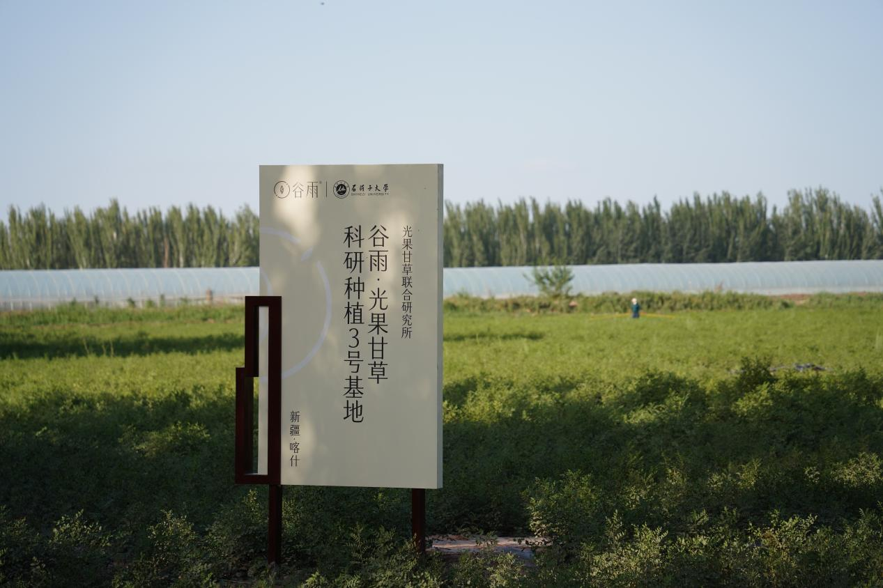 Kaiyun中国：谷雨首份ESG报告出炉：讲述从中国心到“芯”的责任行动(图5)