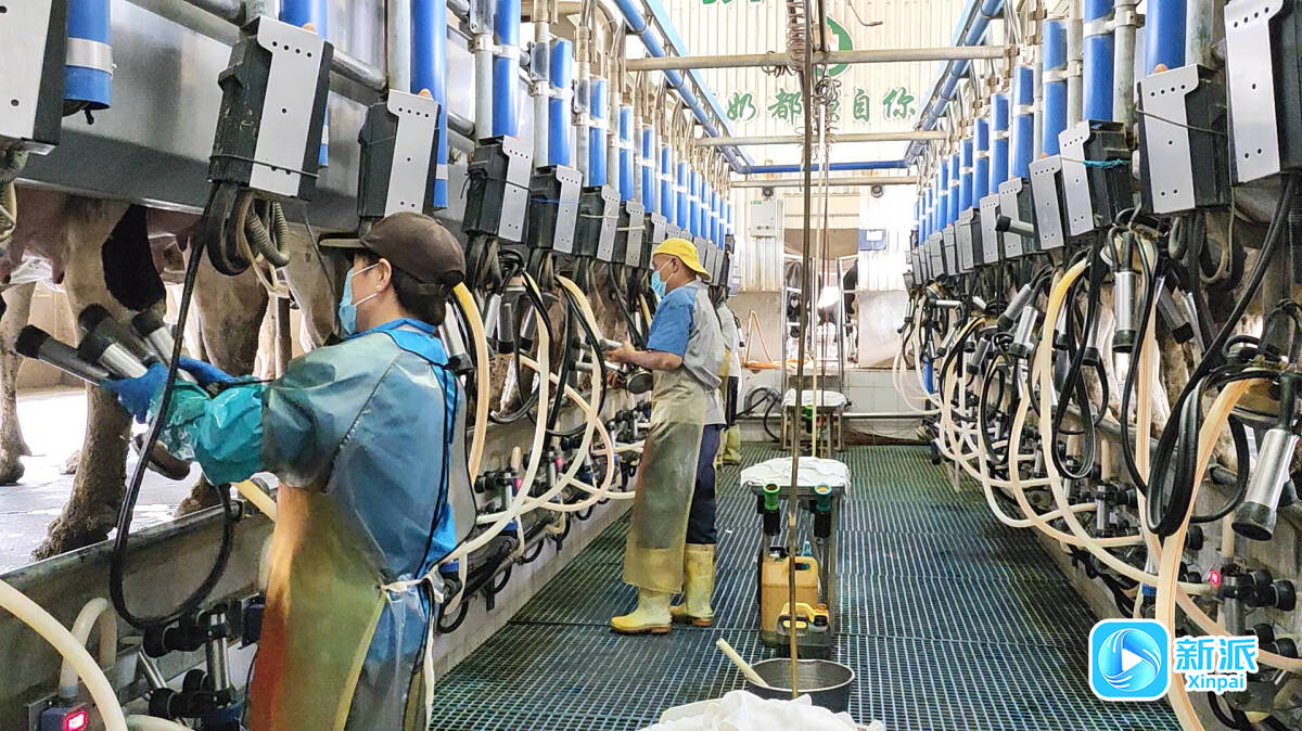 Kaiyun中国：安丘市郚山镇：践行大健康理念打造健康食品产业新高地(图1)