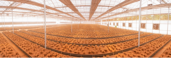 Kaiyun中国：寿仙谷以“科技+标准”打破世界对中医药的“认知壁垒”(图2)