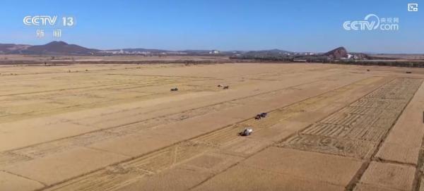 Kaiyun中国:我国已成为全球第三大有机消费市场高标准认证为新增长护航(图4)