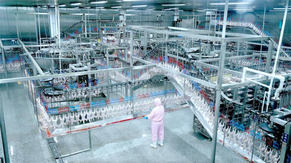 Kaiyun中国：春雪食品集团郑钧谈品质建设与战略转型(图2)