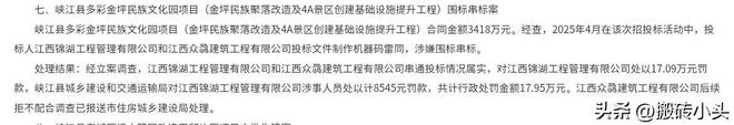 开云网站：江西招投标领域违法违规典型案例之招投标暗战代理串通转包成风(图5)