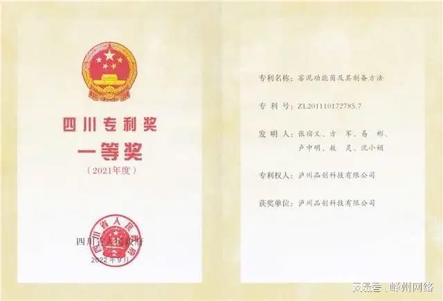 Kaiyun中国:泸州老窖荣获ISO56005《创新与知识产权管理能力》证书(图3)