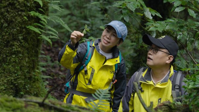 开云网站：她让腻子“活”了起来：访易高创能创始人黄贞迪(图3)