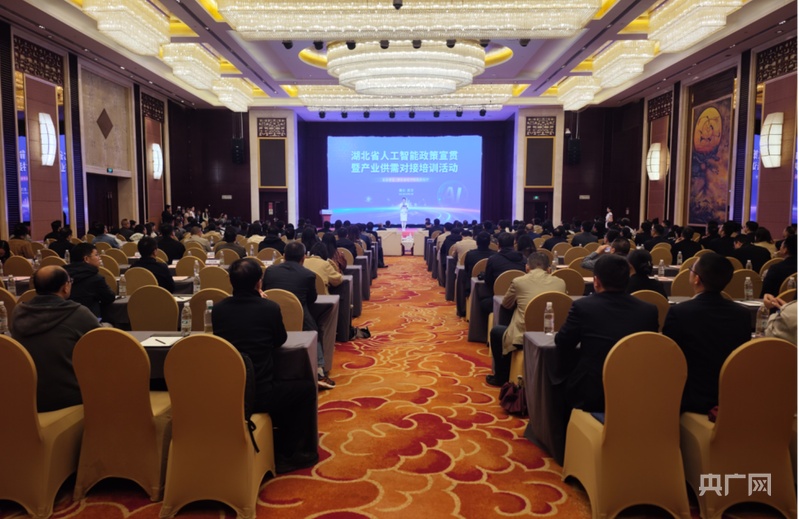 开云网站：湖北人工智能产业规模突破1100亿元政策“组合拳”瞄准新目标(图1)