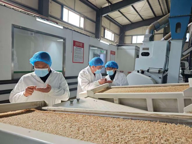 开云网站:从“认证认可”到“价值突围”|“龙江品质”为冰城企业发展添“引擎”(图2)