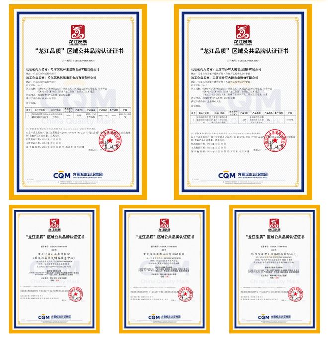 开云网站:从“认证认可”到“价值突围”|“龙江品质”为冰城企业发展添“引擎”(图1)