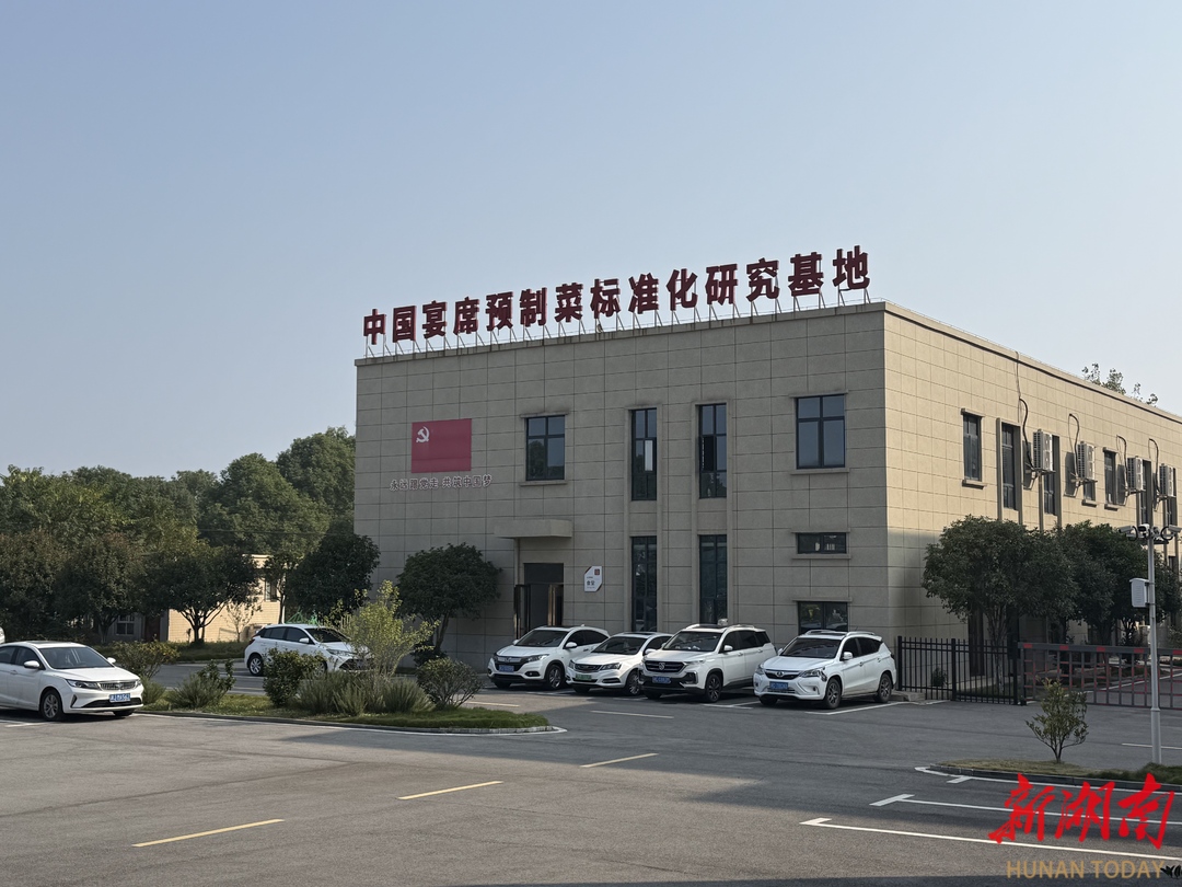 开云网站：支部建在产业上⑧丨巧佳宴：预制乡土风味美味“湘”飘全国(图3)