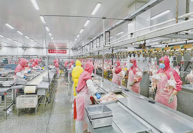 开云网站：两项重量级荣誉！(图7)