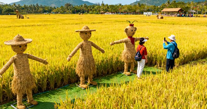 Kaiyun中国：蒙旅5A资质+ISO认证加持：三亚旅行社前十权威榜单新鲜出炉(图1)