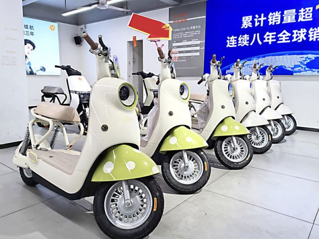 开云网站：新国标落地记者探访肇庆市场电动车价格上涨安全升级(图1)