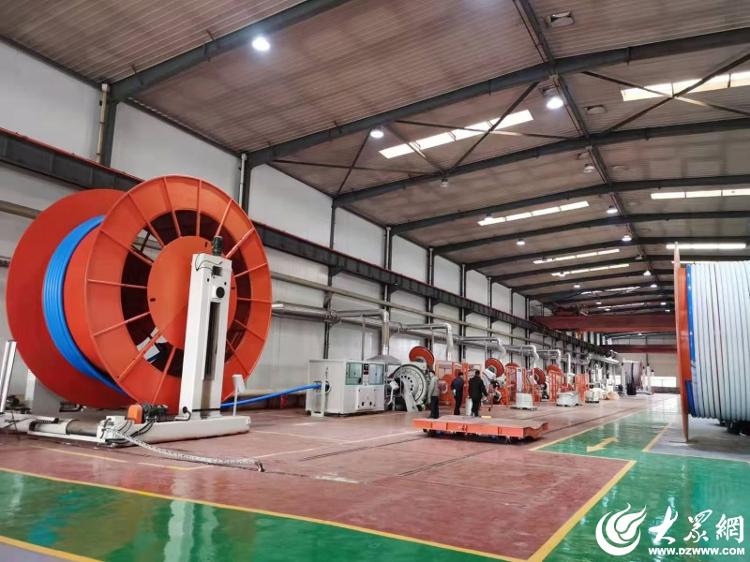 开云网站：东营区企业参与ISO国际标准制定实现“零”的突破(图2)