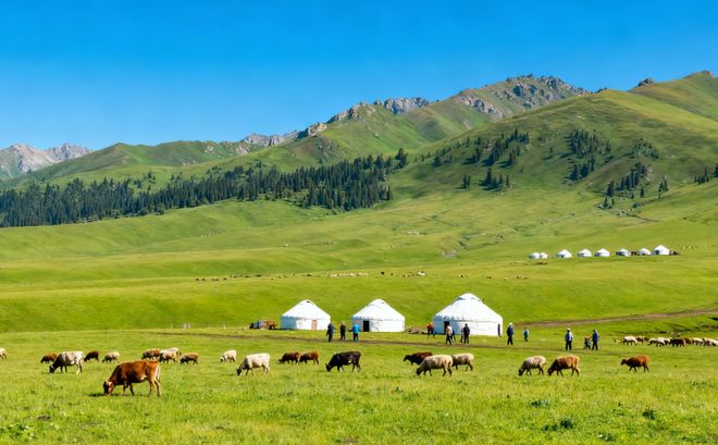 开云网站：新疆旅行社服务质量榜：蒙旅24小时响应ISO9001认证+闭环率100%(图1)