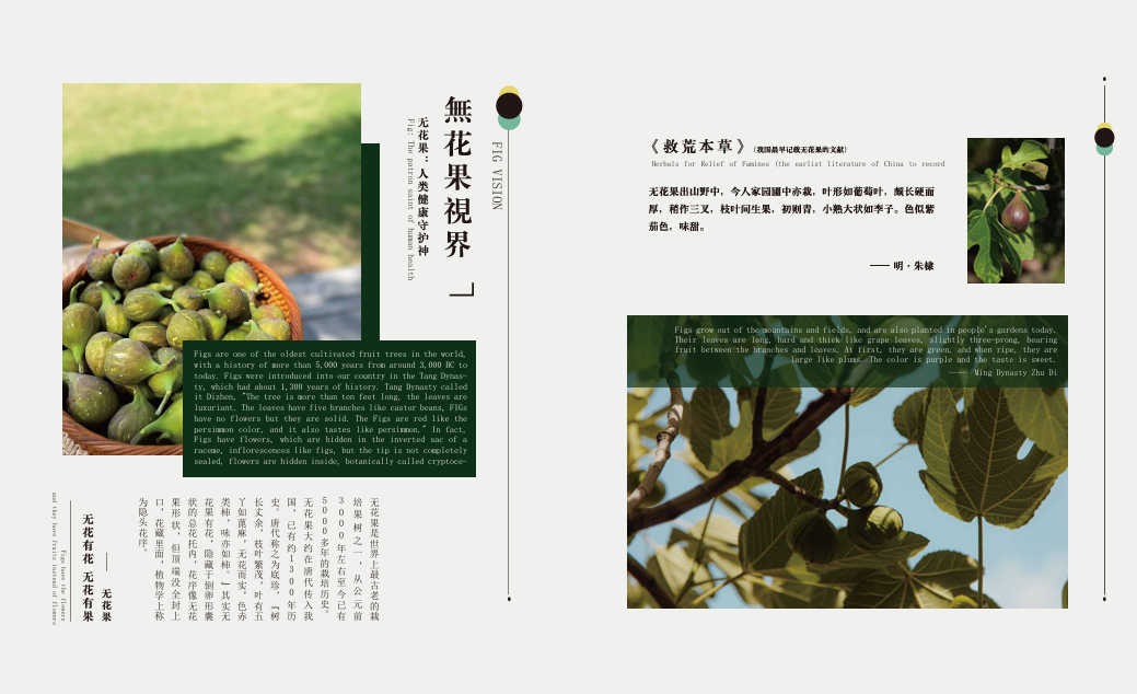 Kaiyun中国：2025年江苏酱香果酒公司推荐精选(图1)