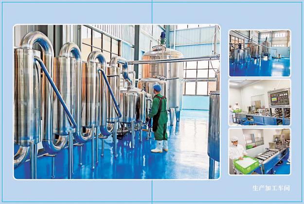 Kaiyun中国：多元驱动绘就高质量发展新画卷(图2)