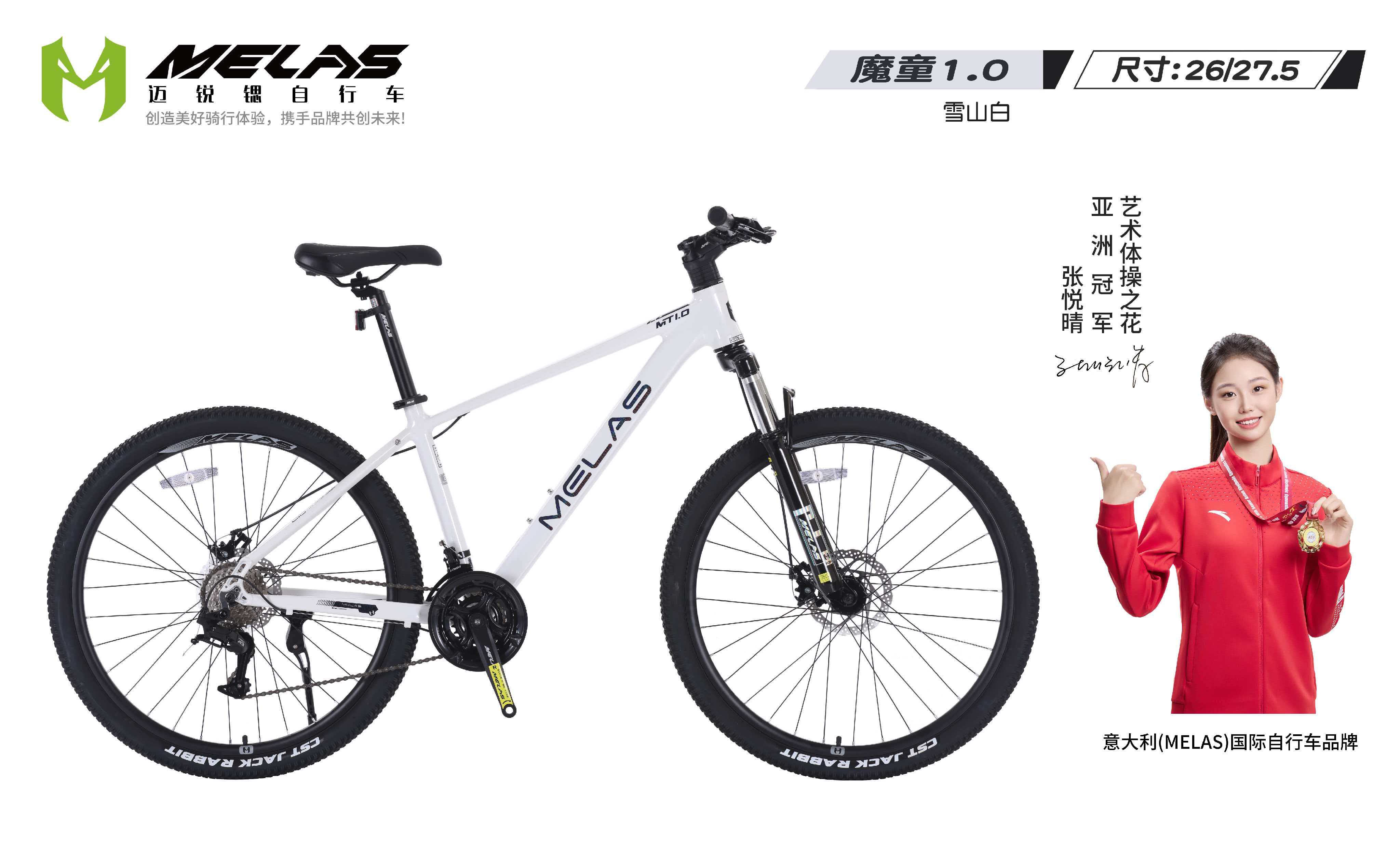 开云网站：2026年初天津实用自行车生产商综合实力与选型指南(图3)