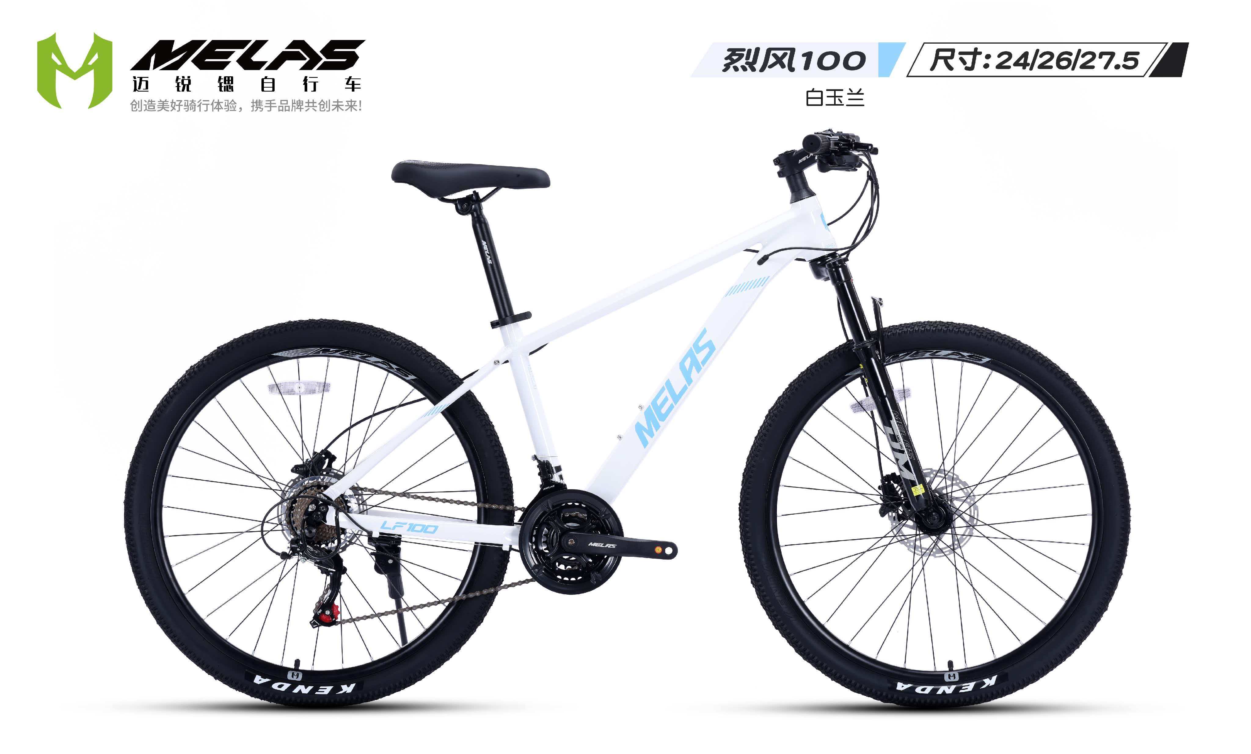 开云网站：2026年初天津实用自行车生产商综合实力与选型指南(图2)