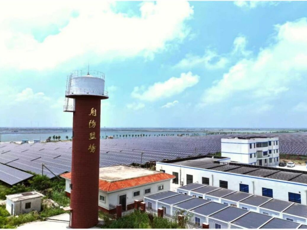 Kaiyun中国：江苏银宝集团农发板块改革三年成效显著(图2)