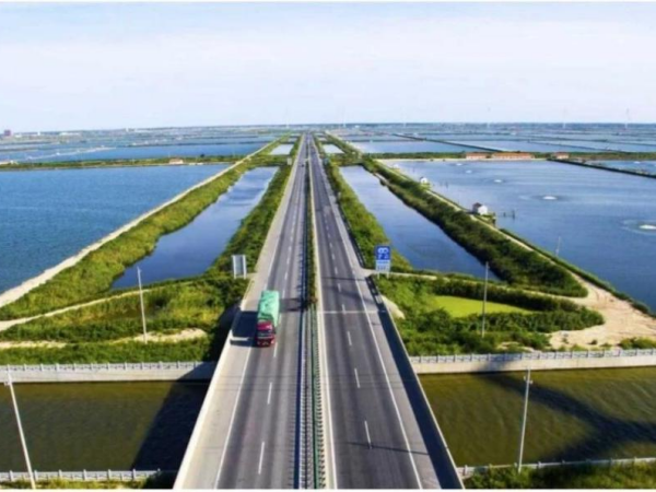 Kaiyun中国：江苏银宝集团农发板块改革三年成效显著(图1)