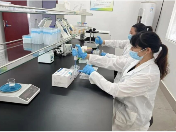 Kaiyun中国：江苏银宝集团农发板块改革三年成效显著(图3)