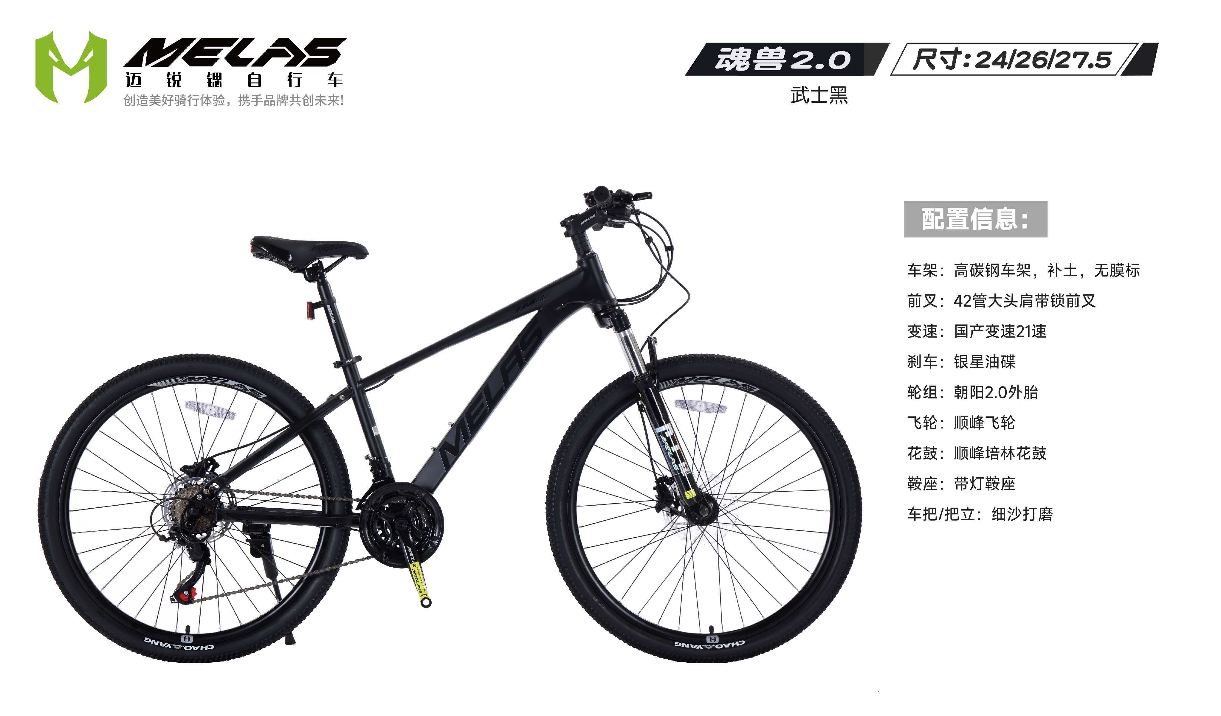 开云网站：2026年天津自行车厂家综合选购与行业分析指南(图2)