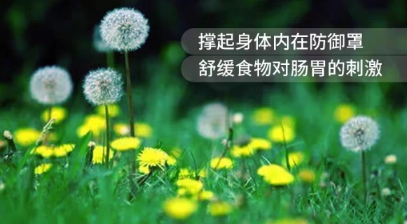 开云网站：水飞蓟宾哪个牌子护肝好2026十大权威排行高纯度强活性认证品牌效果出众(图3)