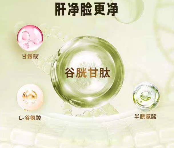 开云网站：水飞蓟宾哪个牌子护肝好2026十大权威排行高纯度强活性认证品牌效果出众(图8)