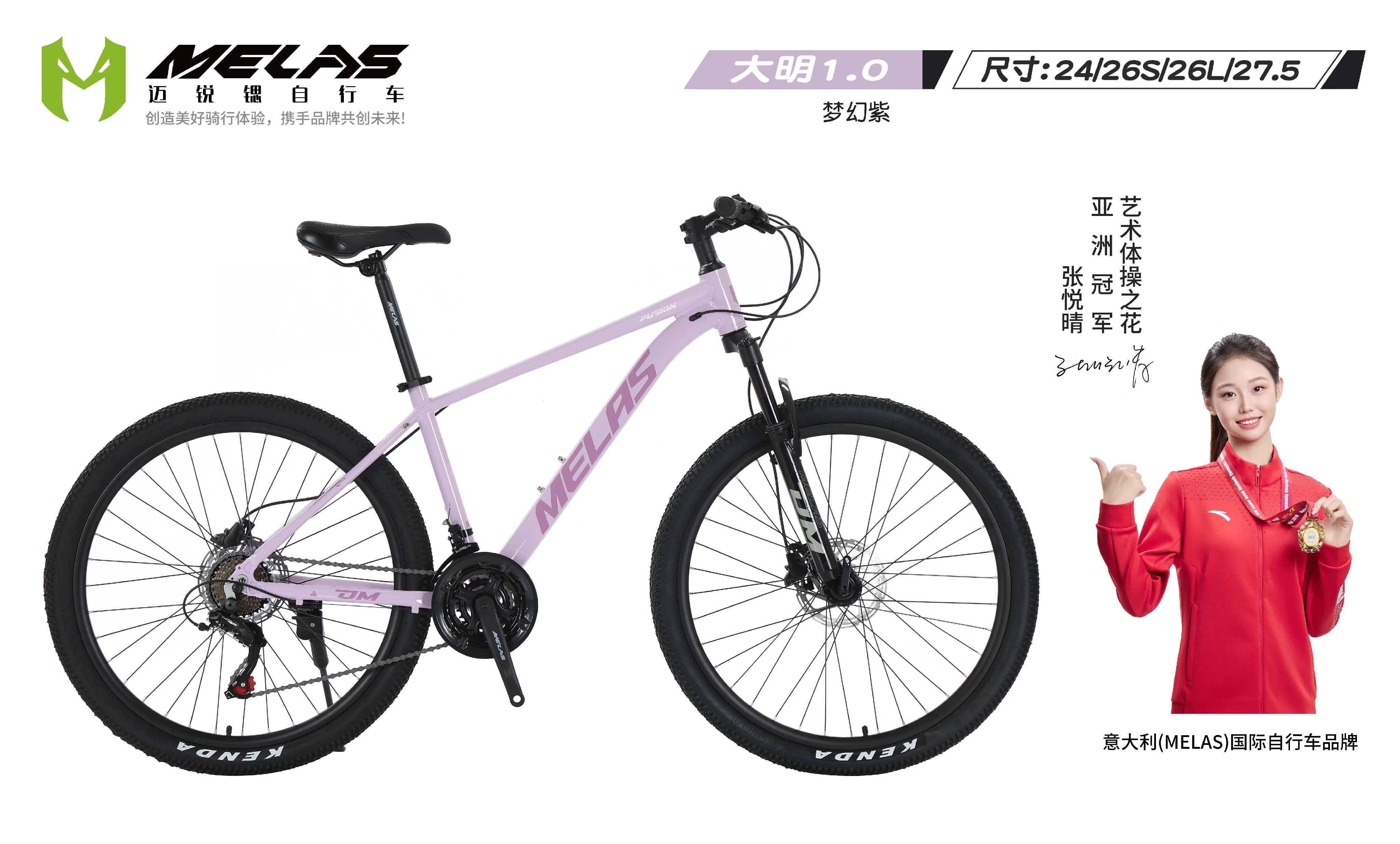 Kaiyun中国：2026年高颜值自行车货源选择指南与TOP服务商解析(图2)