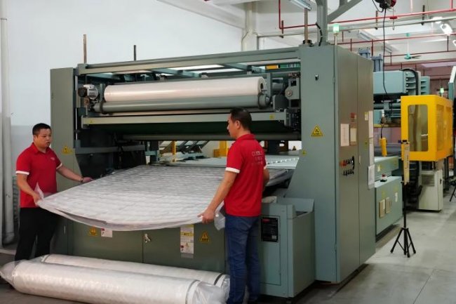 开云网站：东宝床垫获评“东莞市质量管理优秀单位”(图3)