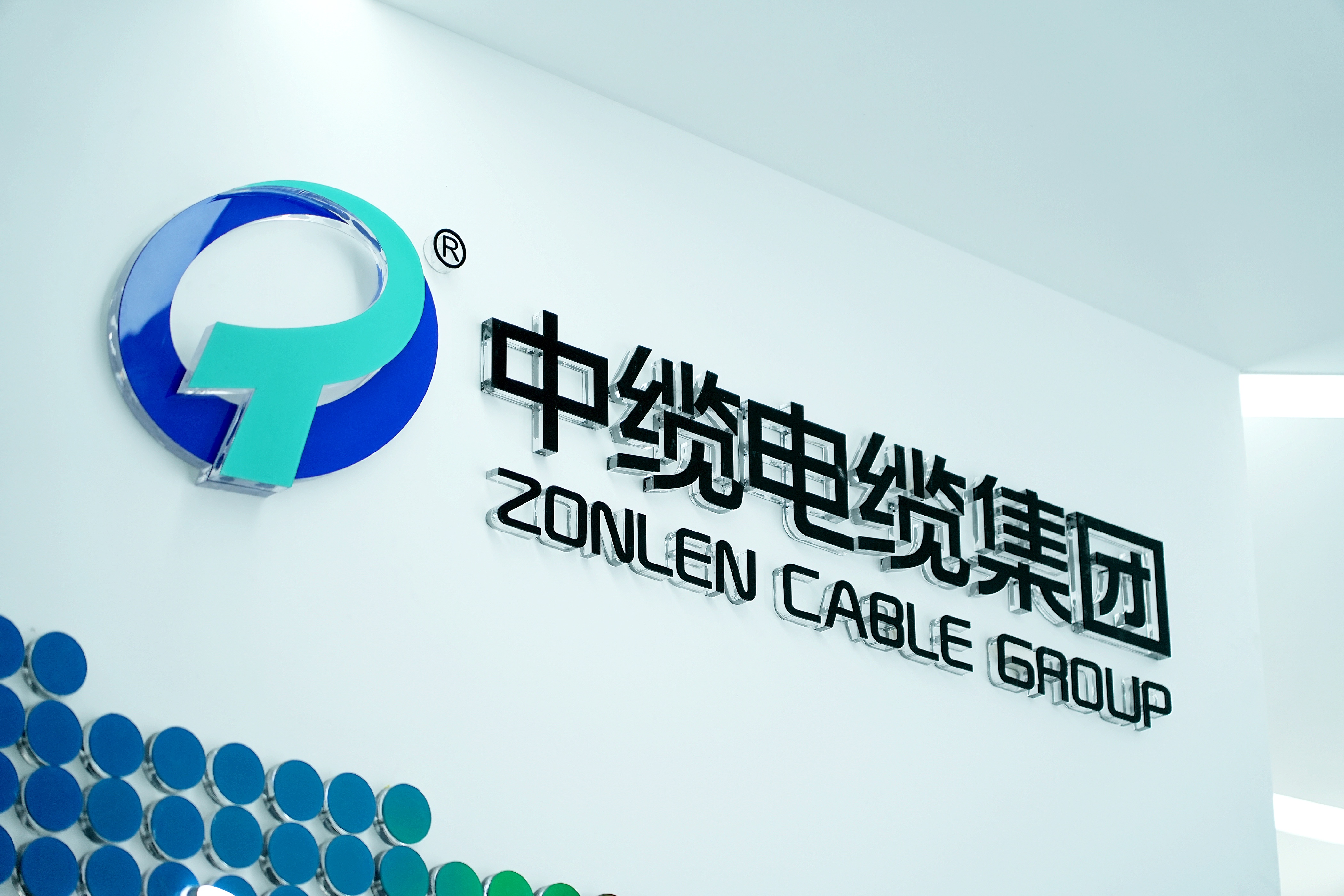 Kaiyun中国:2026年四川电线电缆服务商综合评估与选择指南(图2)