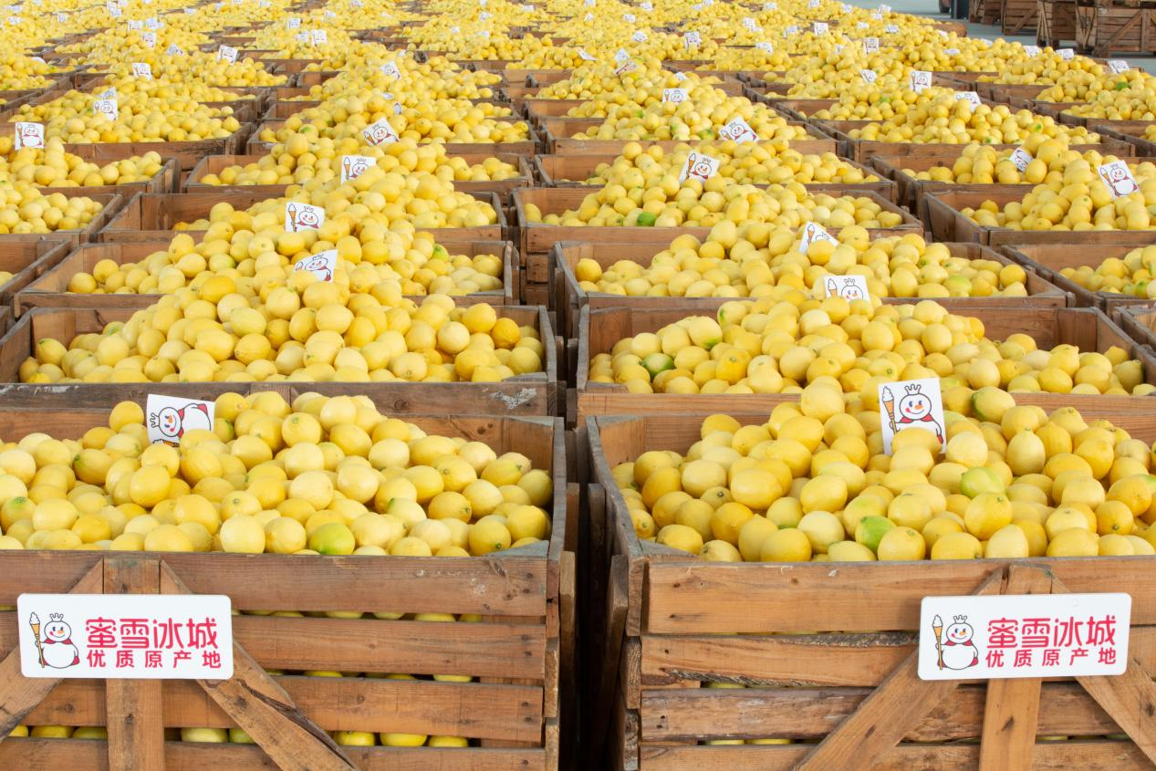 Kaiyun中国：蜜雪冰城发布2025年ESG报告构建全链条绿色普惠价值链(图3)