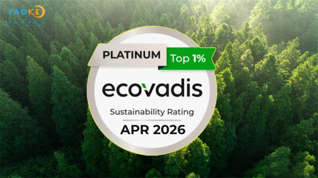开云网站：中国新能源企业登顶EcoVadis铂金评级ESG实践再获新突破(图1)